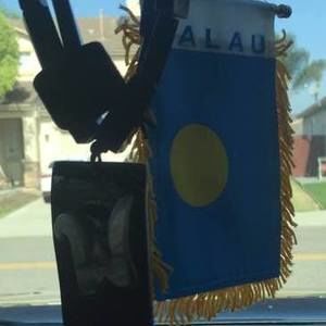 Meet your Posher, Wayne